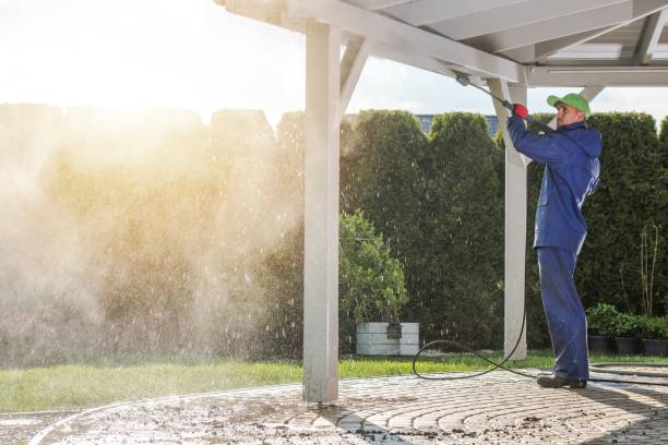 Best Dumpster Area Cleaning  in Mclendon Chisholm, TX